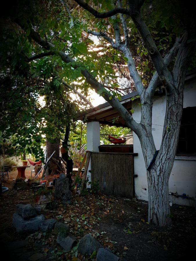 Ecer Pansiyon Kusadası Exterior foto