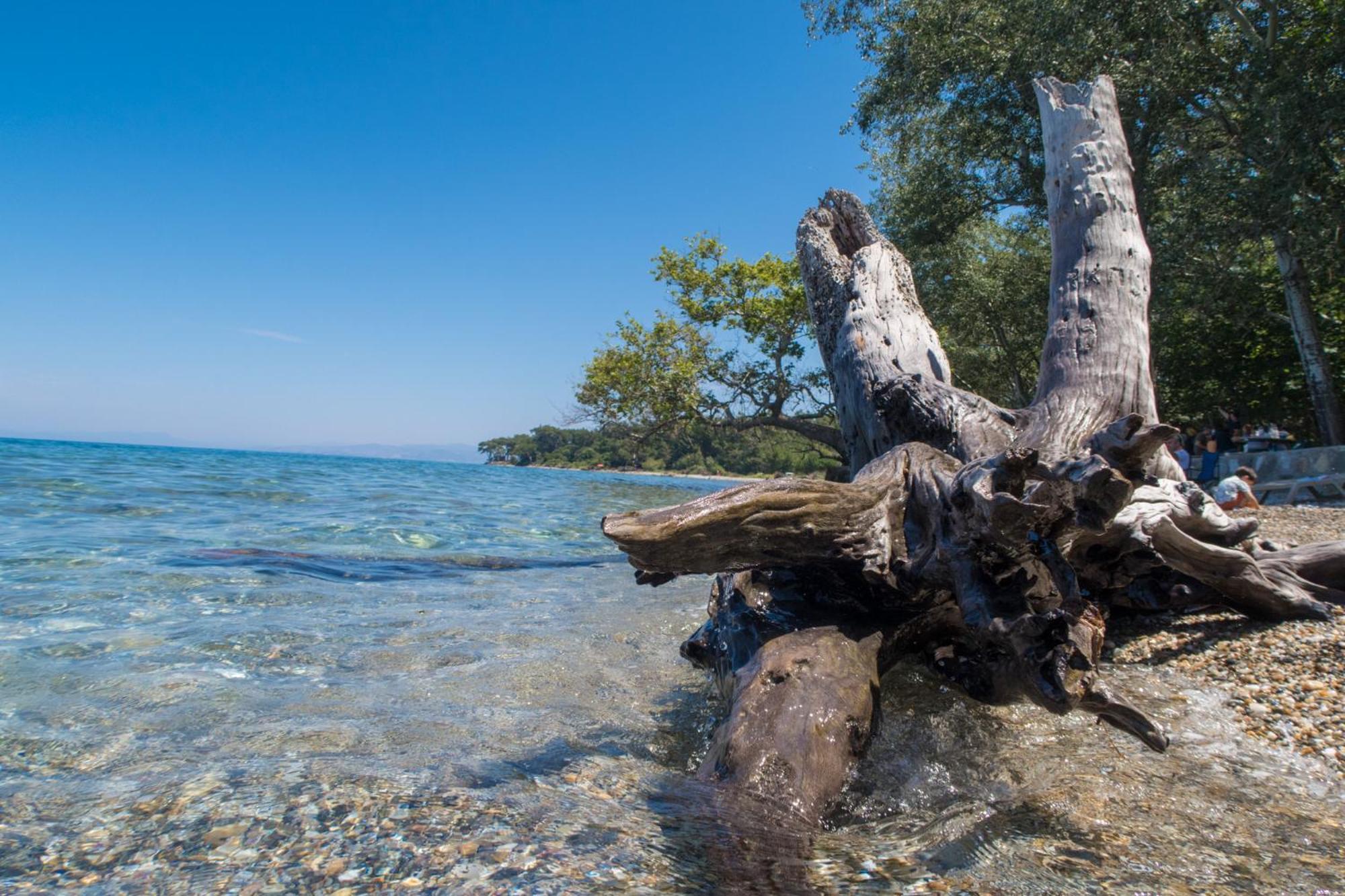 Ecer Pansiyon Kusadası Exterior foto